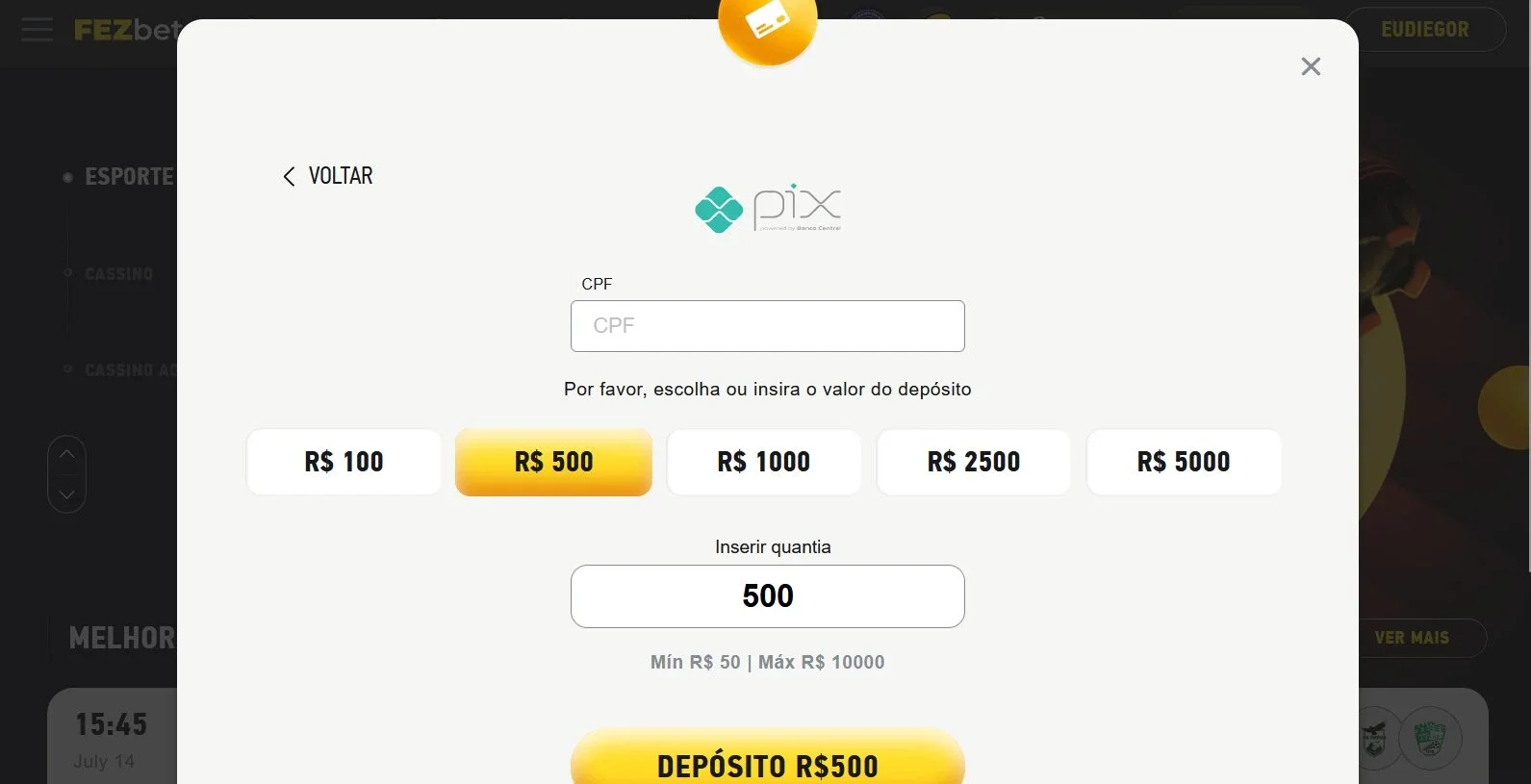 Insira os detalhes necessários para o método de depósito escolhido_ como informações da conta bancária ou detalhes do cartão de crédito